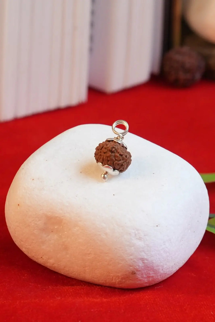 10 Mukhi Rudraksha