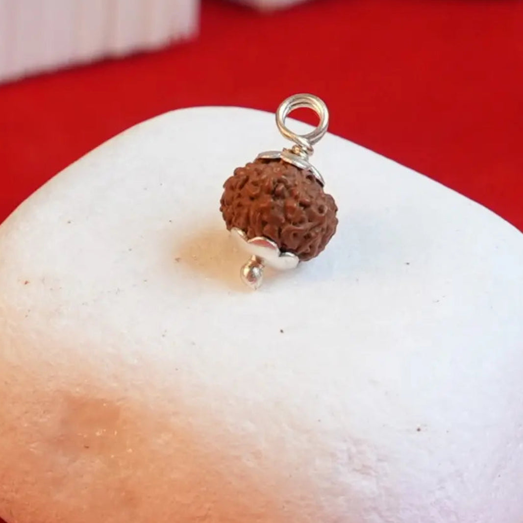 10 Mukhi Rudraksha