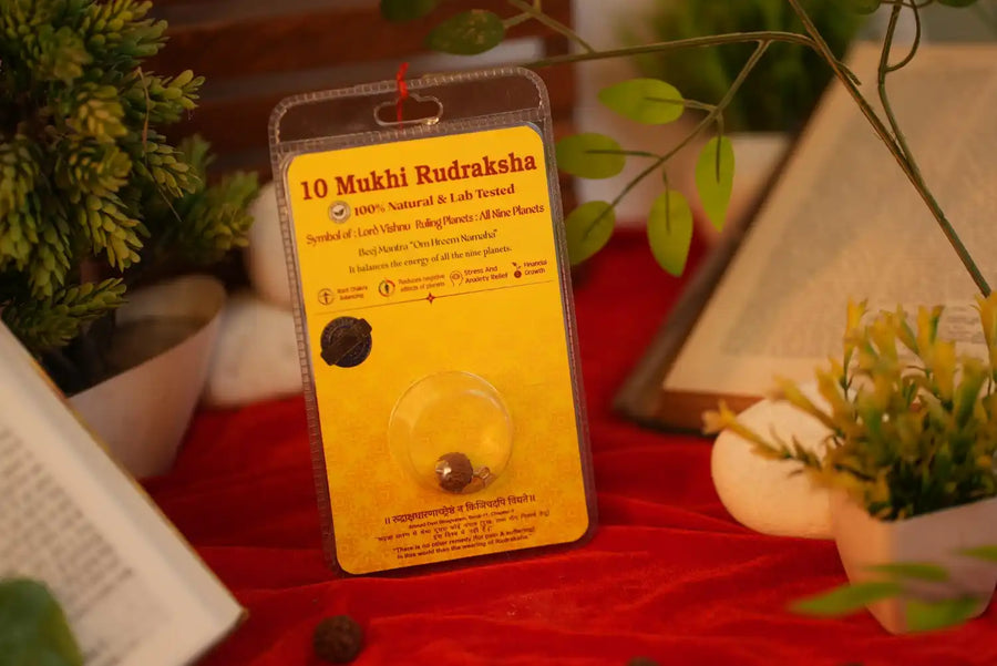 10 Mukhi Rudraksha
