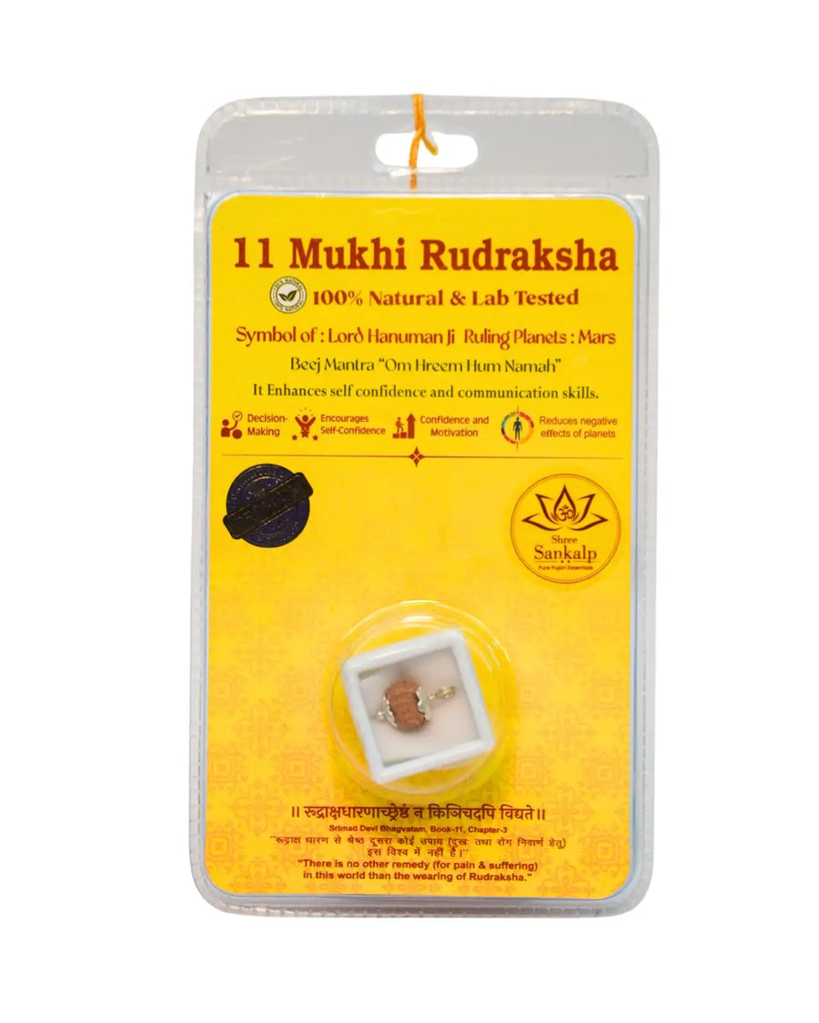 11 Mukhi Rudraksha