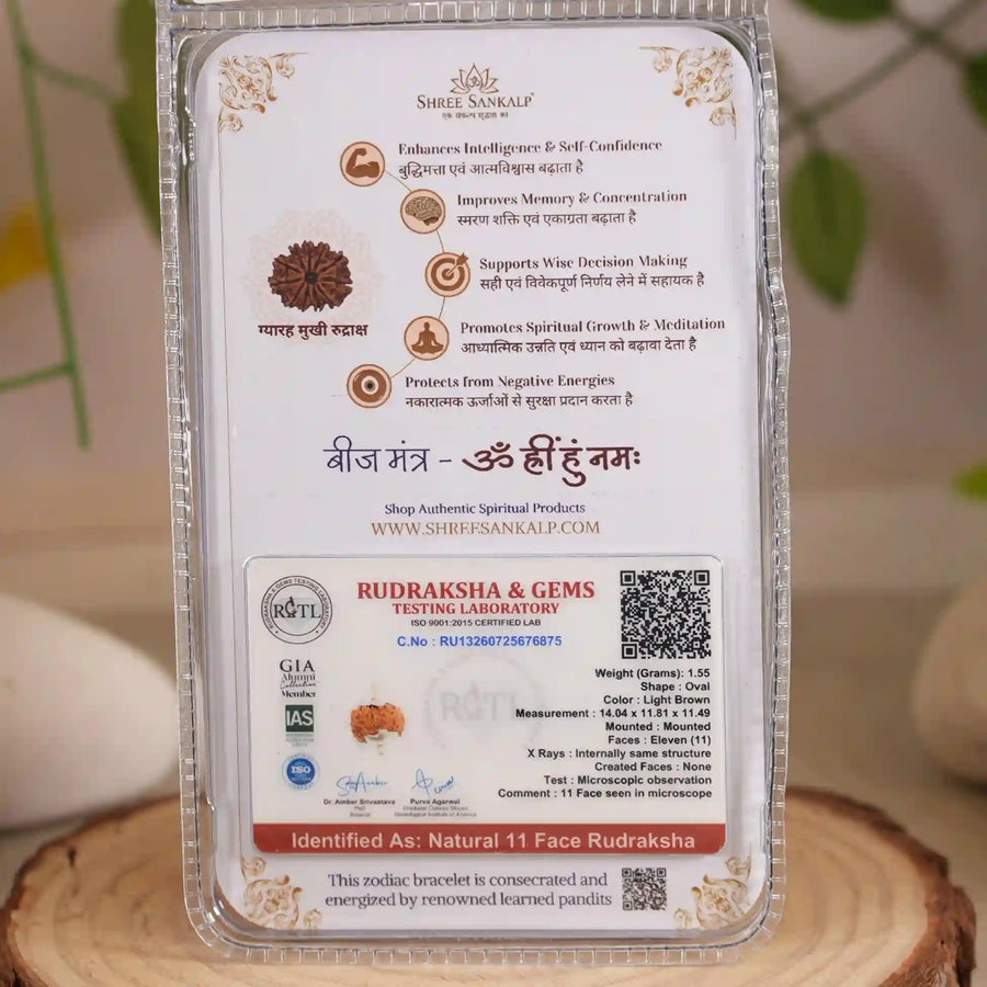 11 mukhi rudraksha