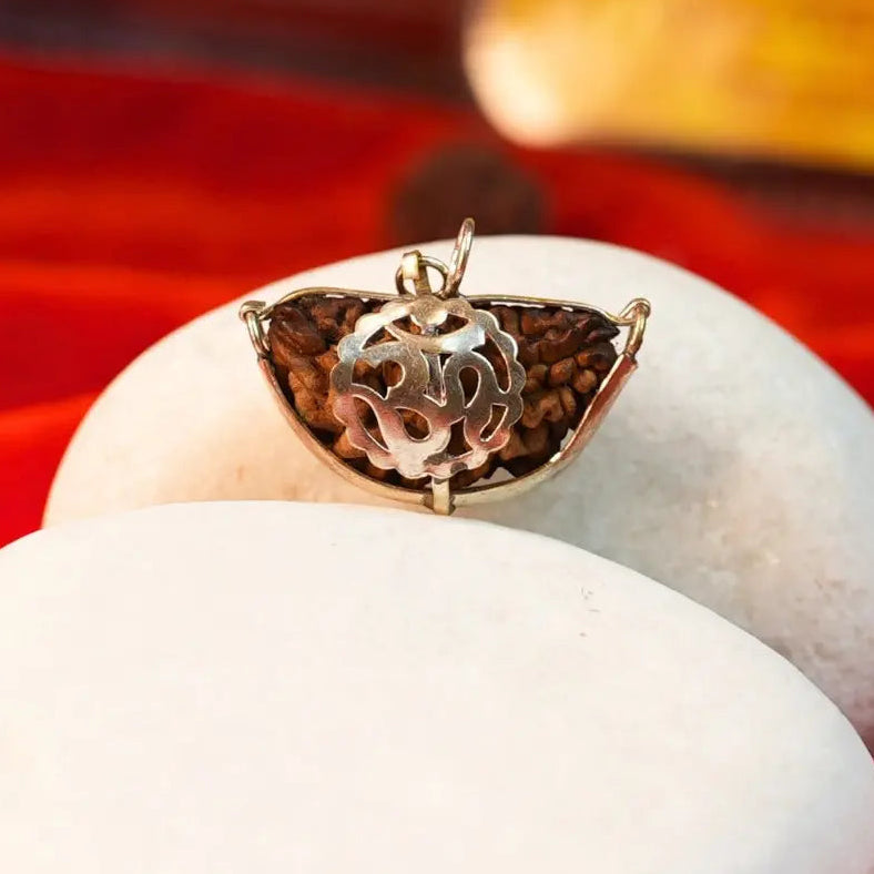 1 Mukhi Rudraksha