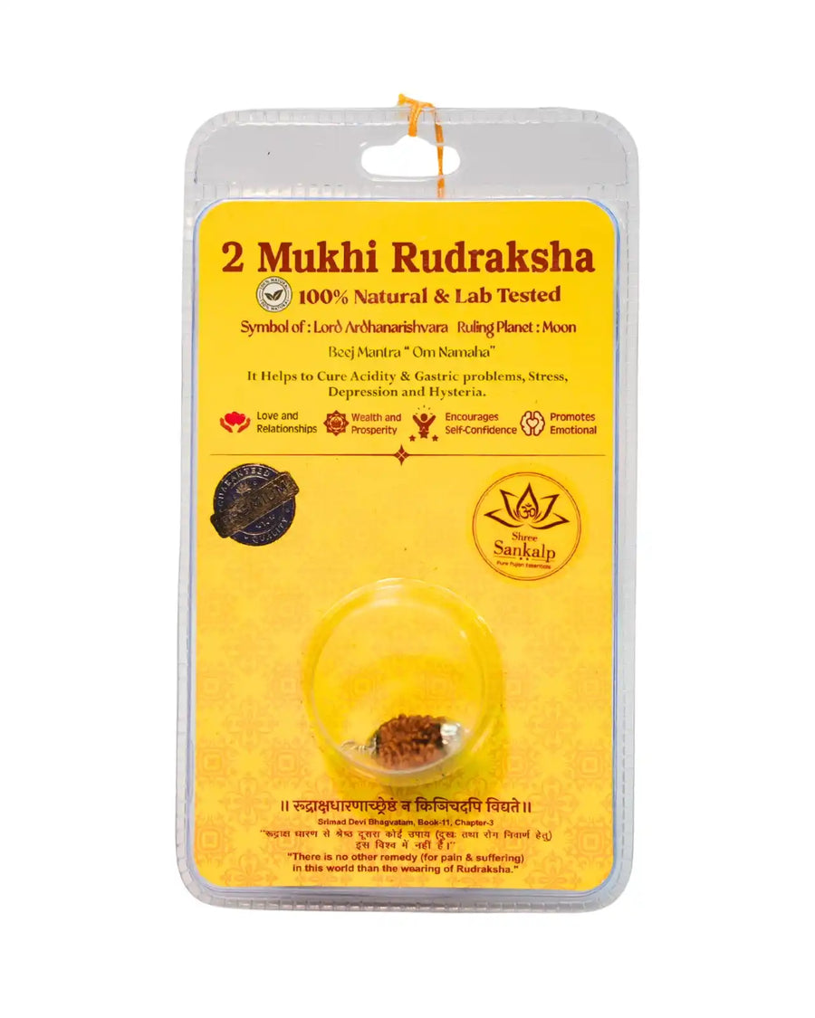 2 mukhi rudraksha