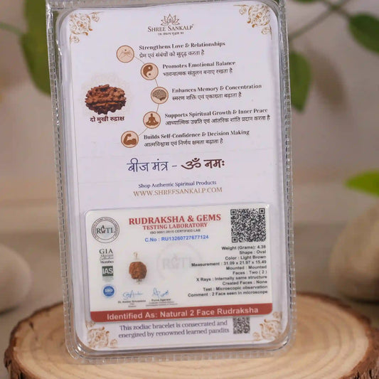 2 mukhi rudraksha