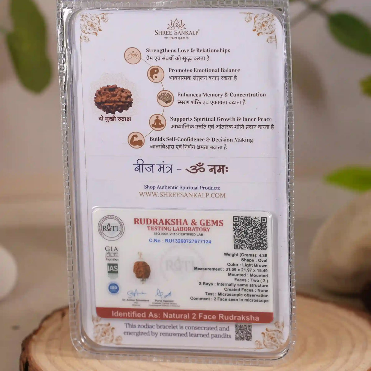 2 mukhi rudraksha