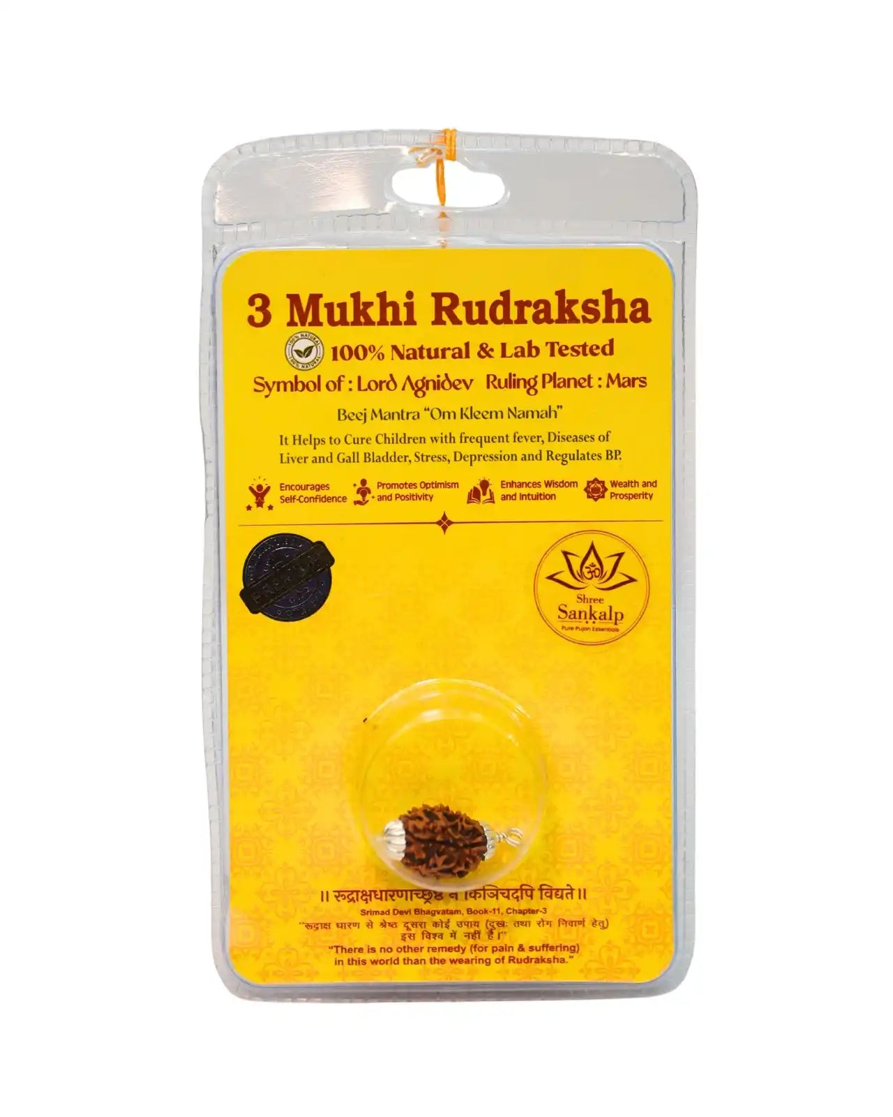 3 mukhi rudraksha