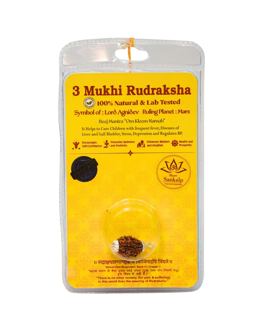 3 mukhi rudraksha