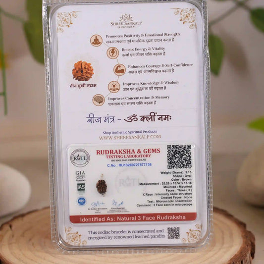 3 Mukhi Rudraksha Lab Certified Indonesian Rudraksha