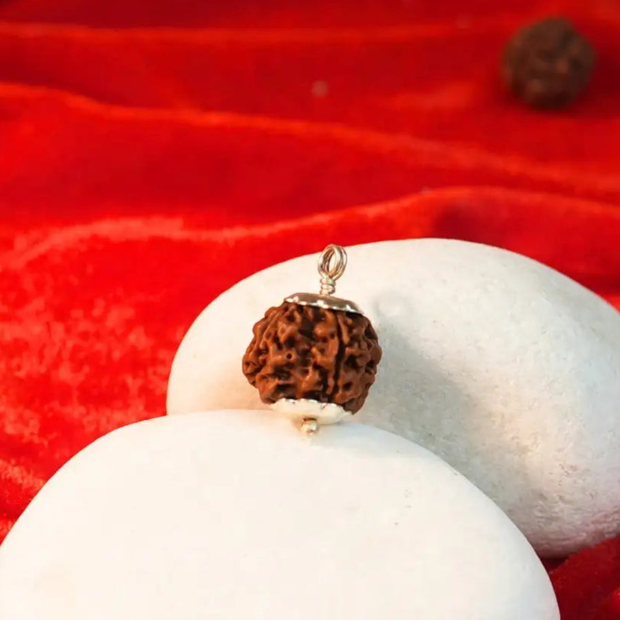 4 Mukhi Rudraksha