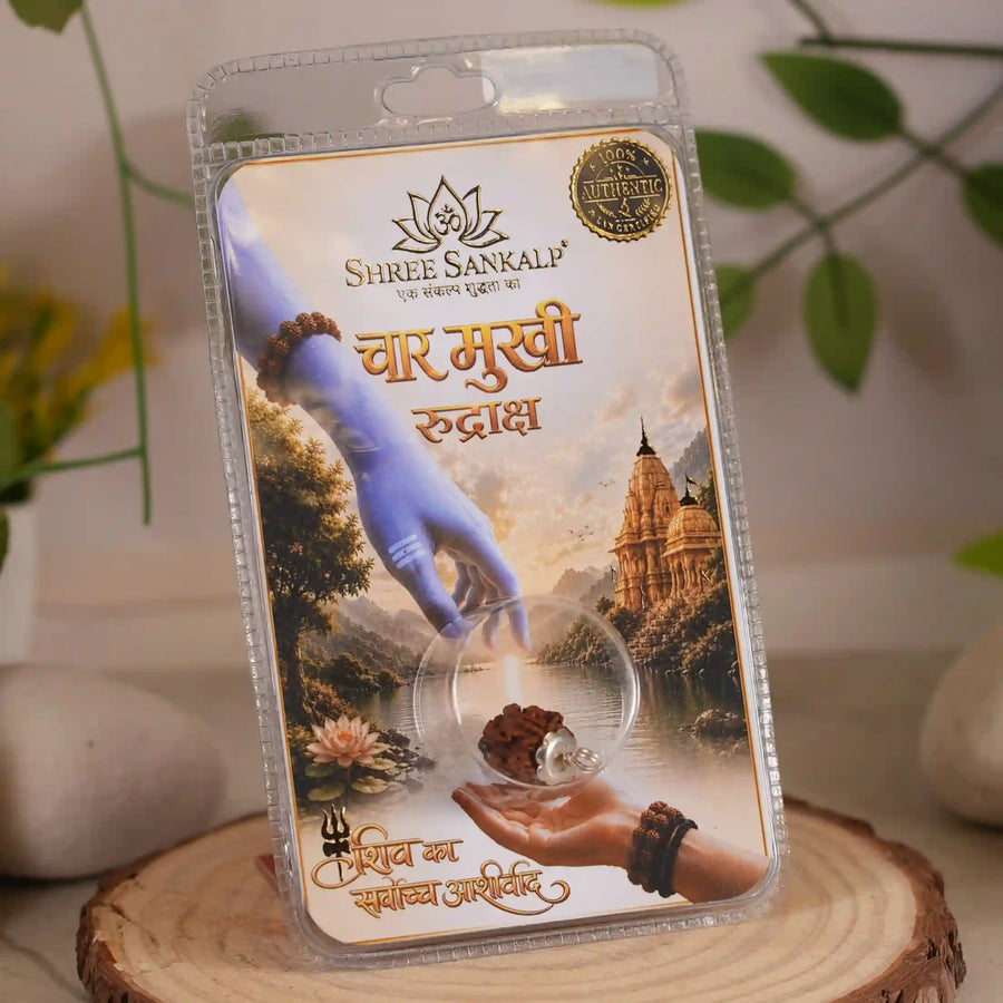 4 mukhi rudraksha
