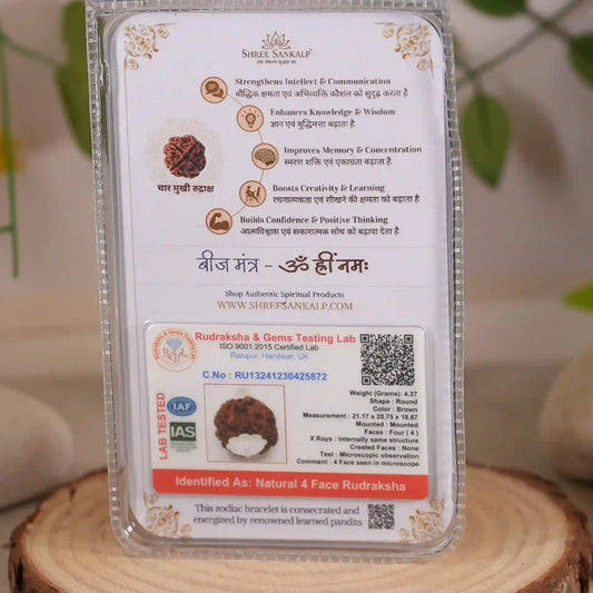 4 mukhi rudraksha