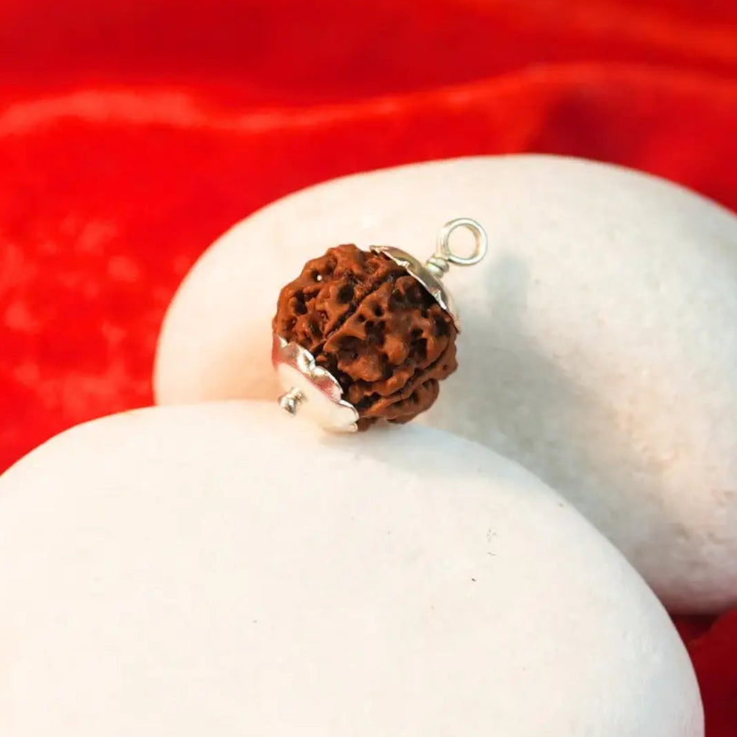 5 mukhi rudraksha