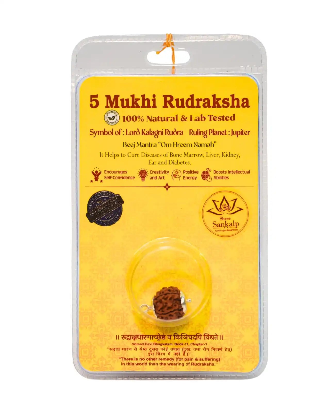 5 mukhi rudraksha