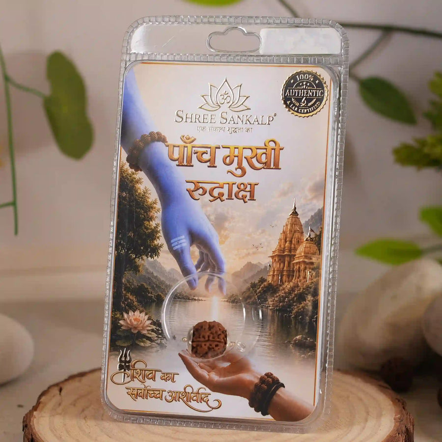 5 mukhi rudraksha