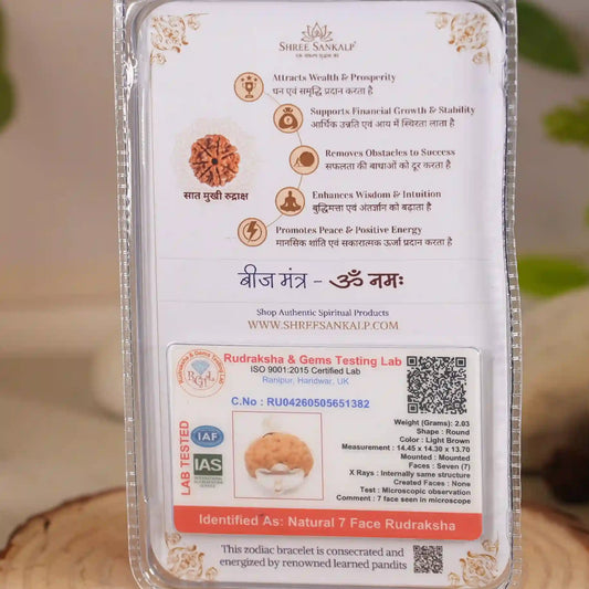 7 Mukhi Rudraksha Lab Certified Nepali Rudraksha
