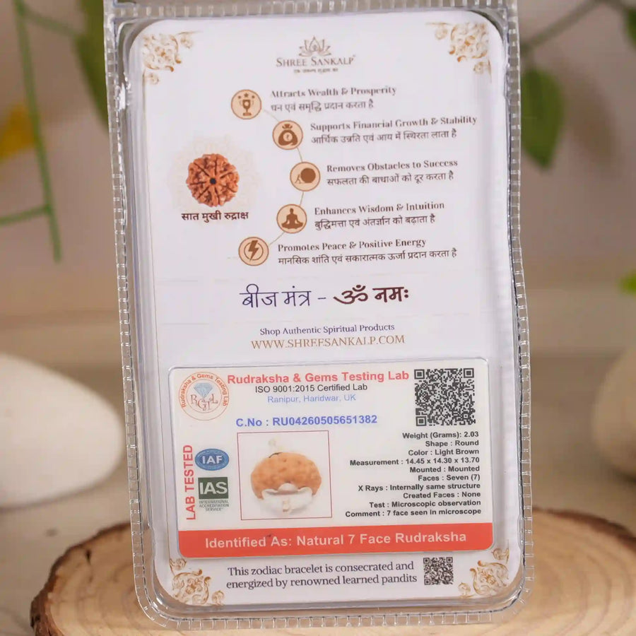 7 mukhi rudraksha