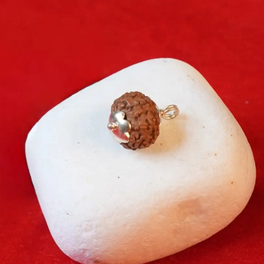 8 Mukhi Rudraksha