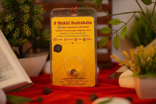 9 Mukhi Rudraksha