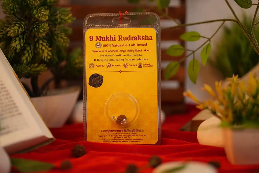 9 Mukhi Rudraksha