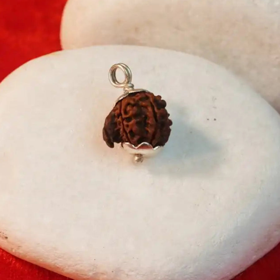Ganesh Rudraksha