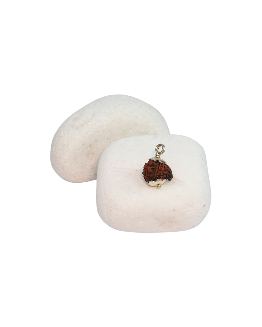 Ganesh Rudraksha