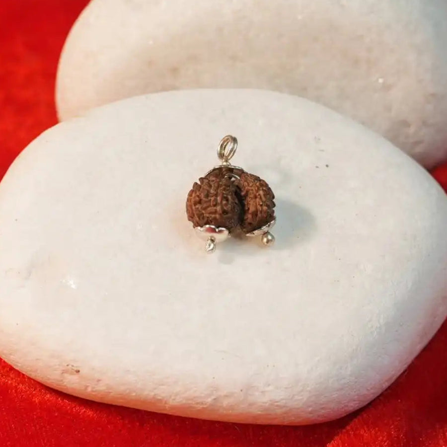 Gauri Shankar Rudraksha