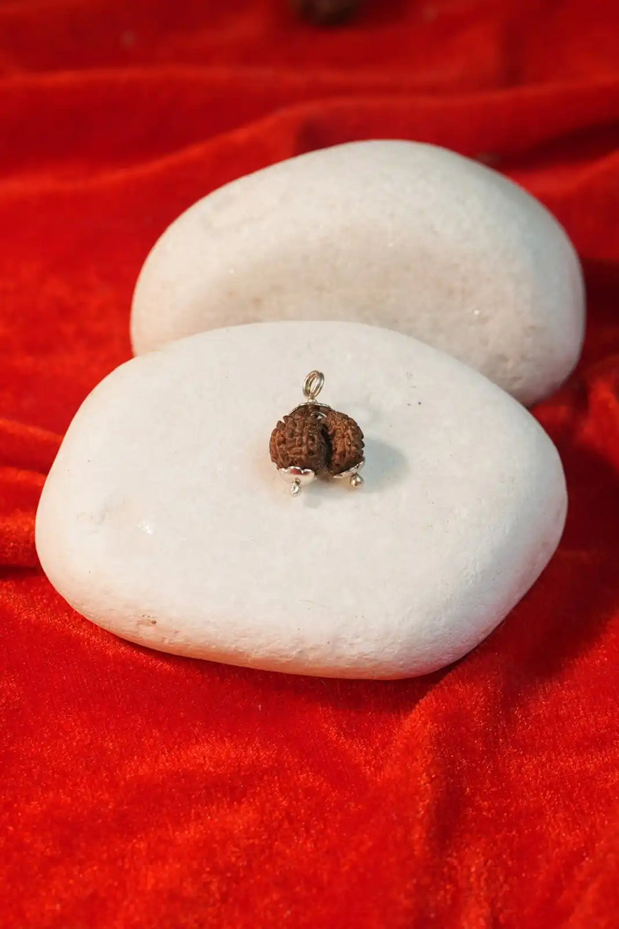 Gauri Shankar Rudraksha