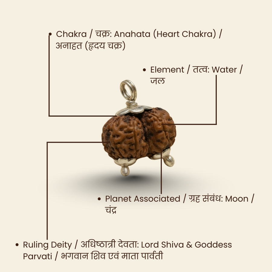 Original Gauri-Shankar Rudraksha
