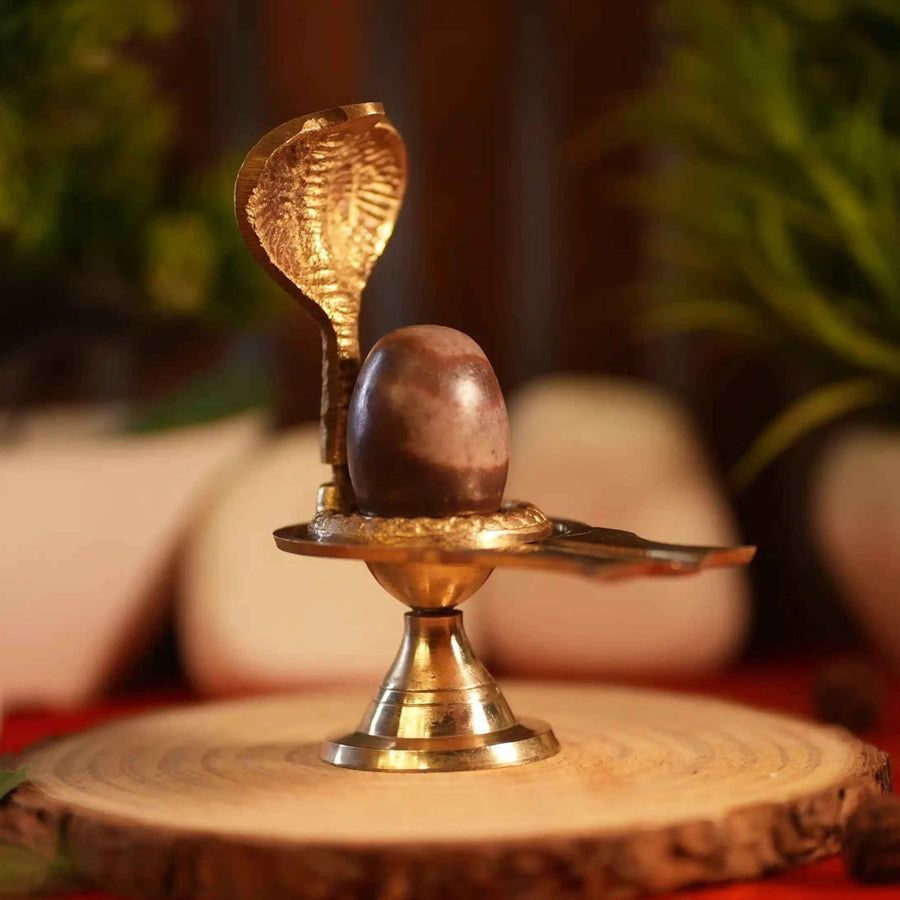 Natural Narmedshwar Mahadev Shivling with Brass Stand