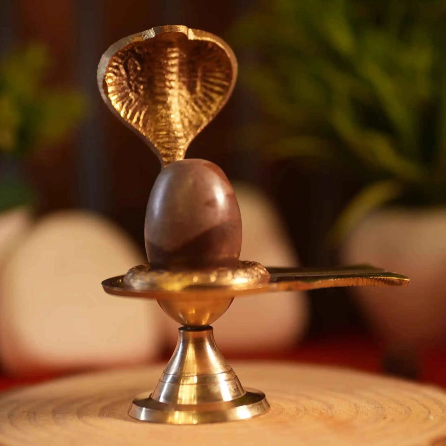 Natural Narmedshwar Mahadev Shivling with Brass Stand