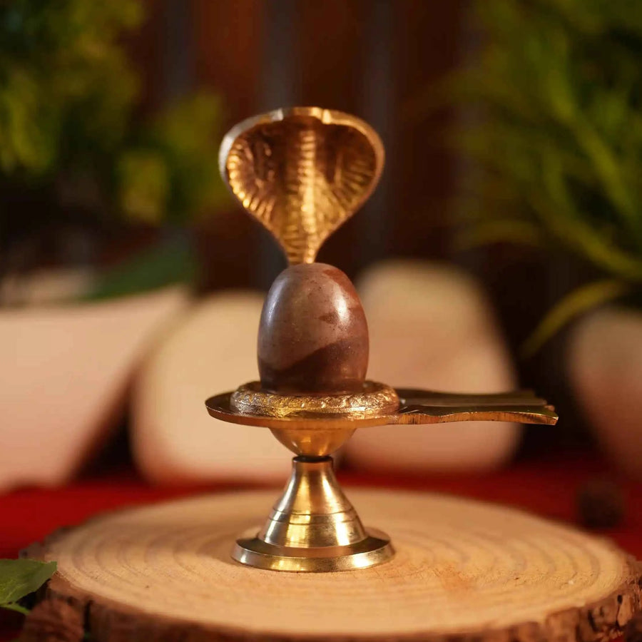Natural Narmedshwar Mahadev Shivling with Brass Stand