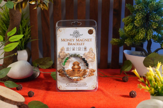 Premium Money Magnet Bracelet