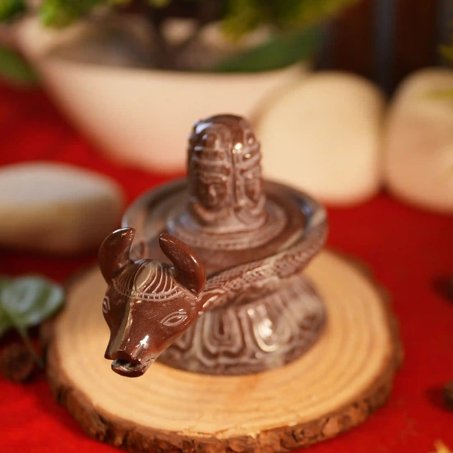 Nandimukh Shivling with Pashupati Mahadev Engraved