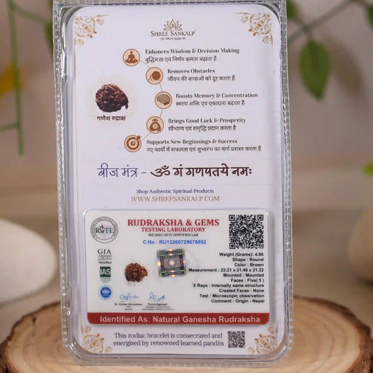 Ganesh Rudraksha