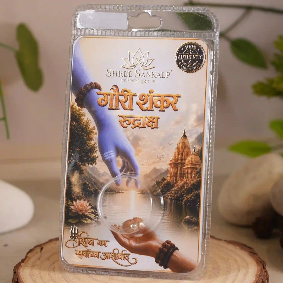 Gauri Shankar rudraksha