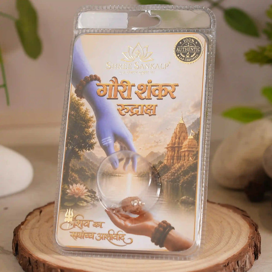 Gauri Shankar rudraksha