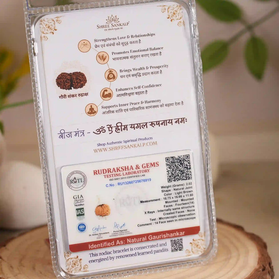 Gauri Shankar rudraksha