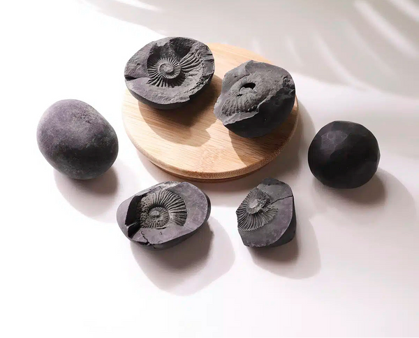 Shaligram