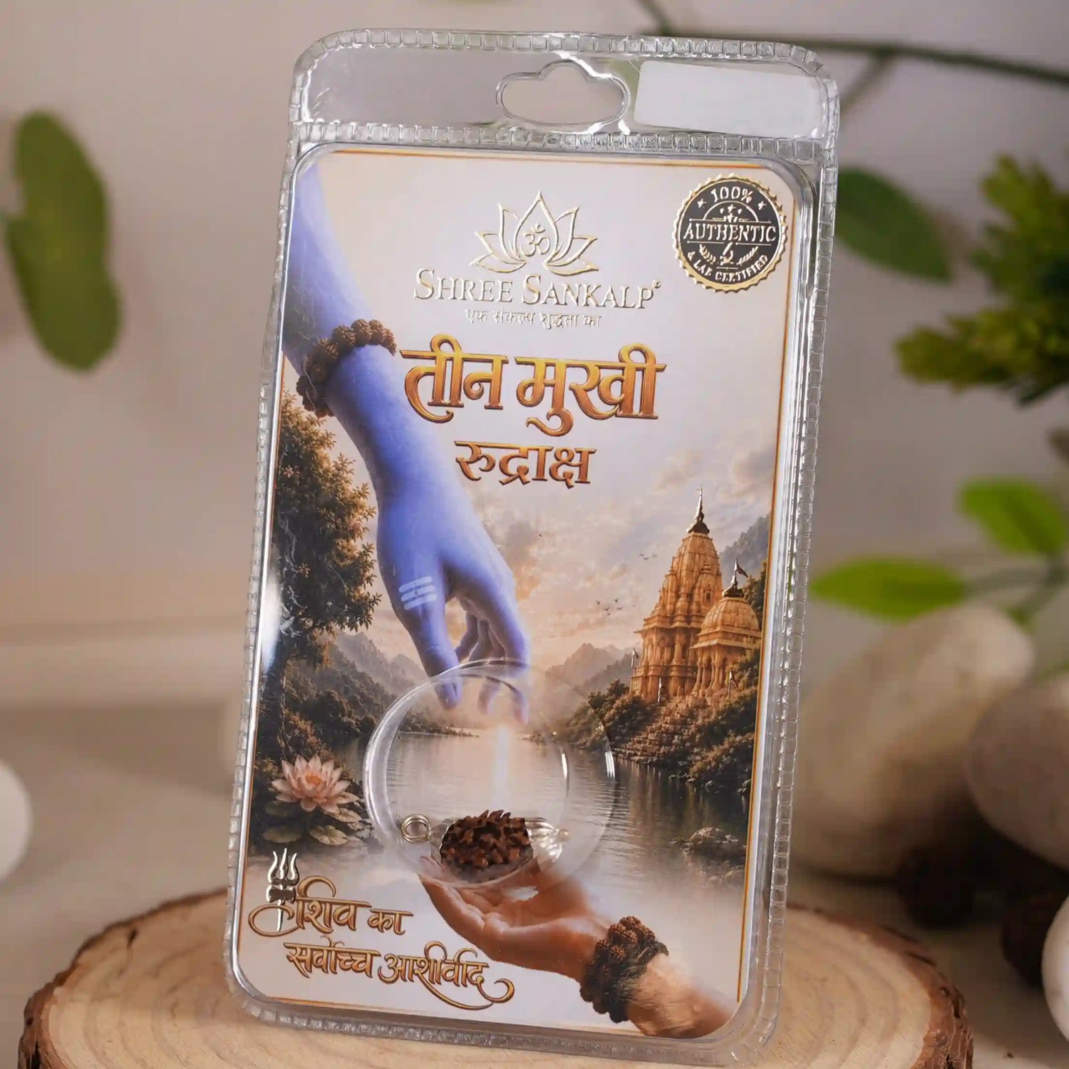 Rudraksha - Shree Sankalp