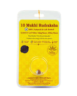 10 Mukhi Rudraksha