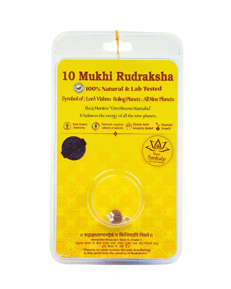 10 Mukhi Rudraksha