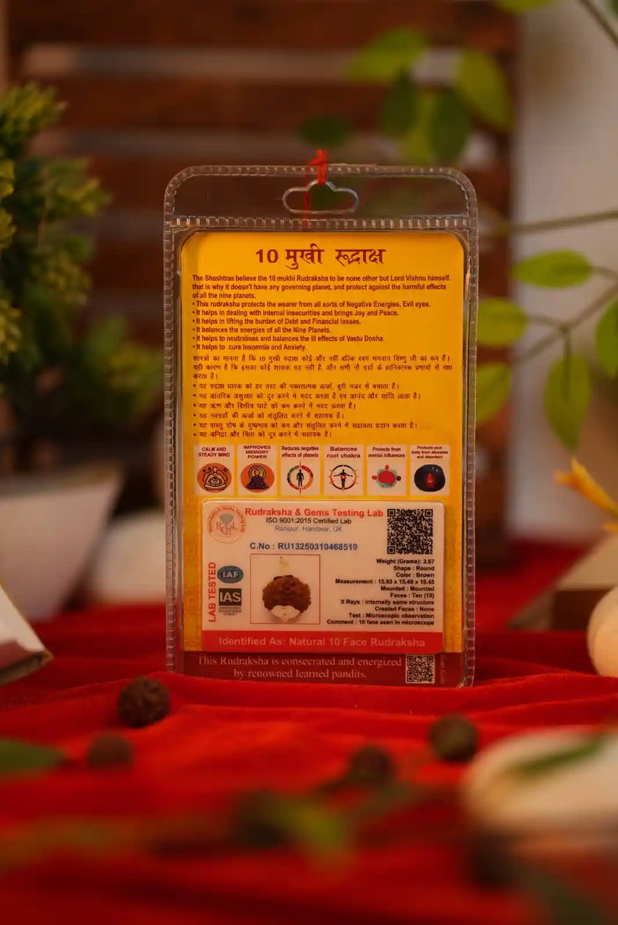 10 Mukhi Rudraksha