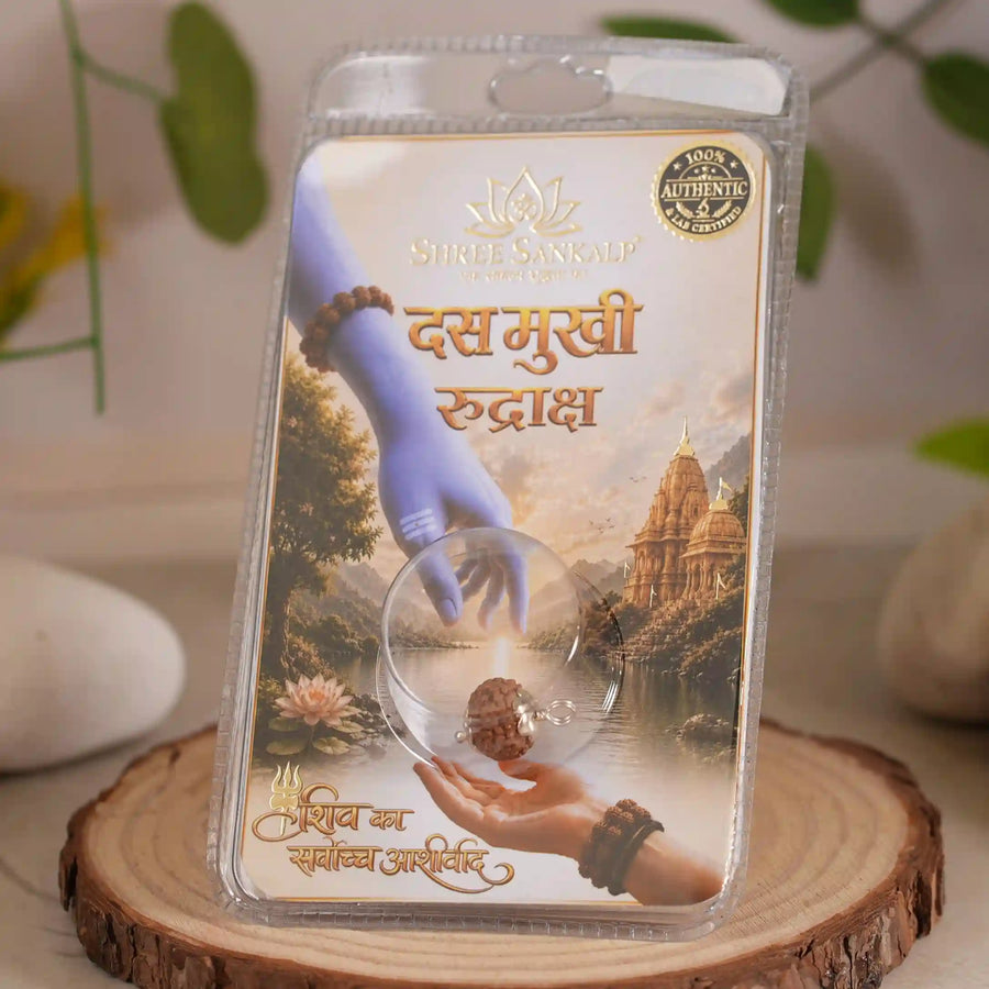 10 mukhi rudraksha