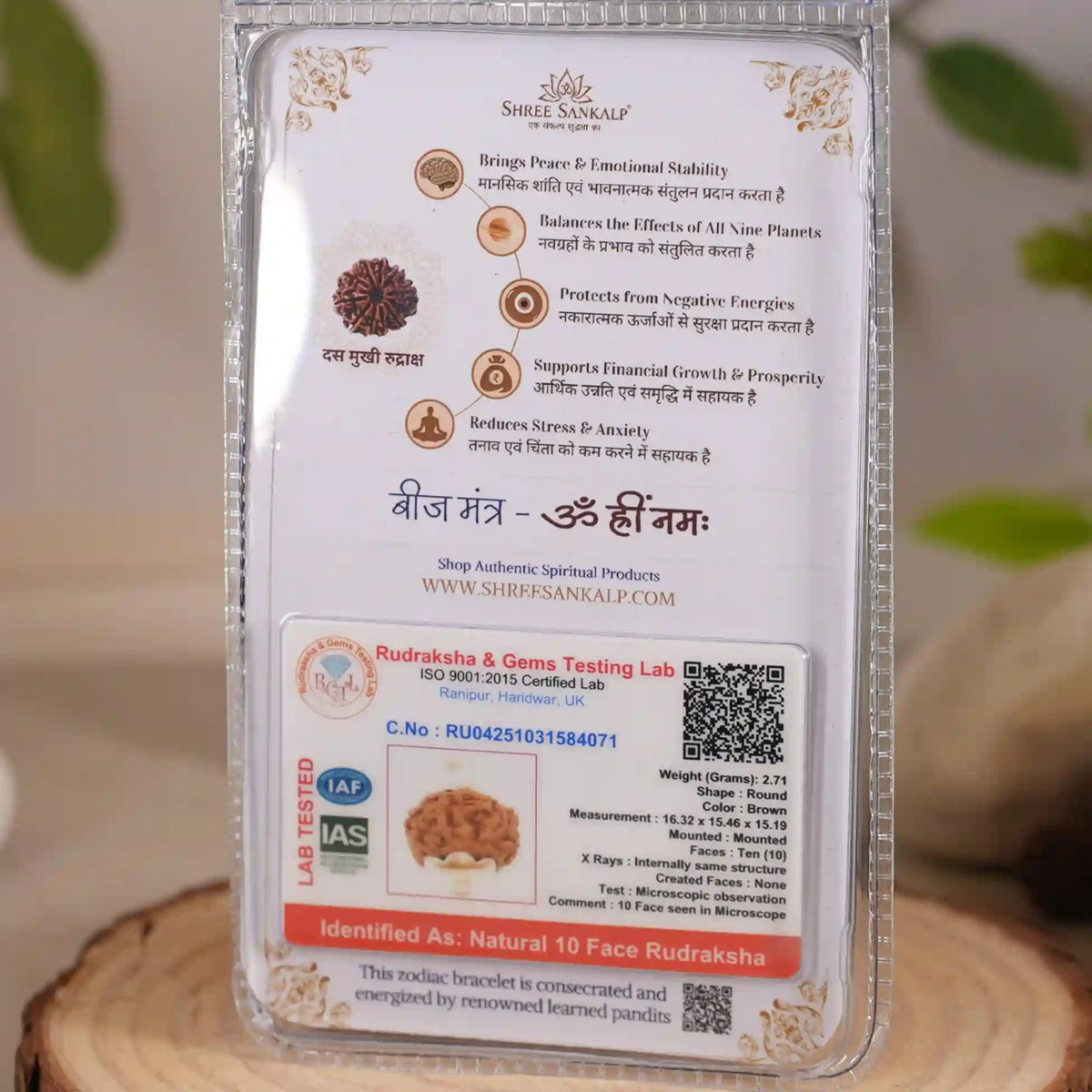 10 mukhi rudraksha