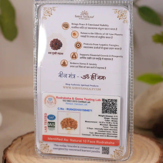 10 Mukhi Rudraksha Lab Certified Indonesian Rudraksha