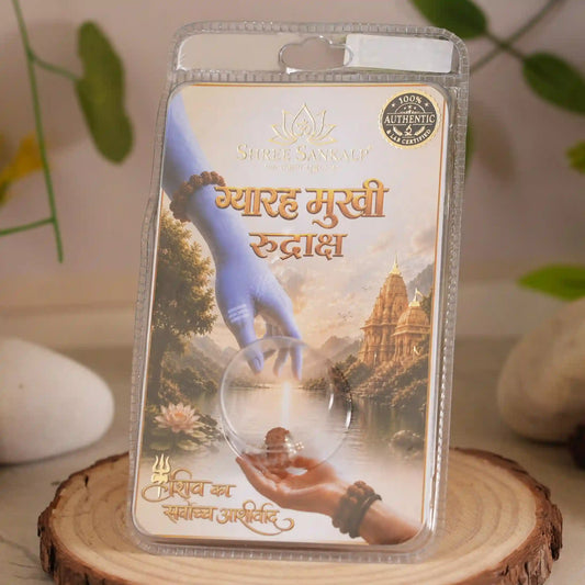 11 Mukhi Rudraksha (Eleven Mukhi)- Lab Certified Bead