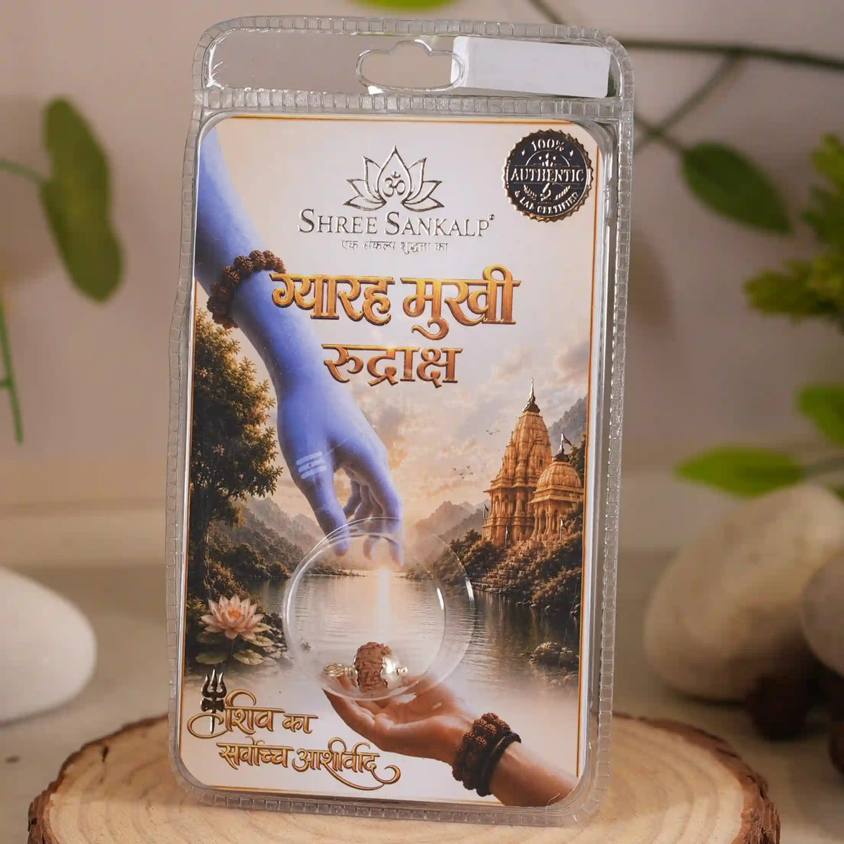 11 mukhi rudraksha