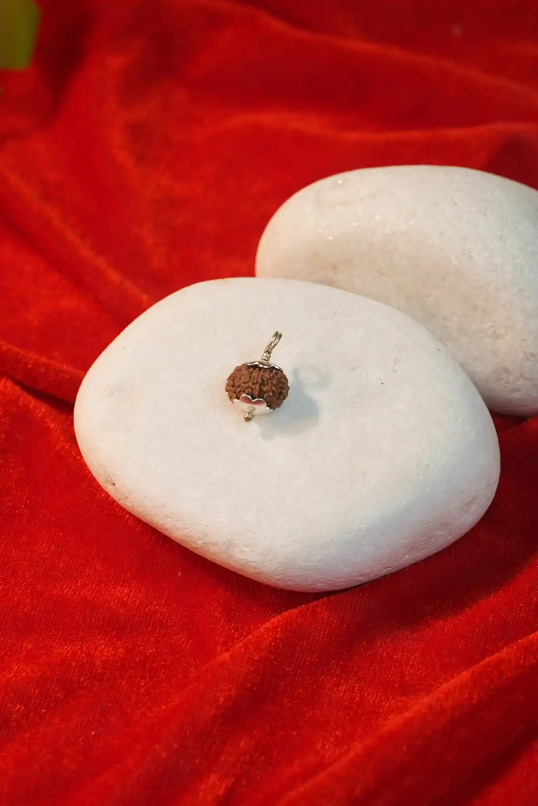 12 Mukhi Rudraksha