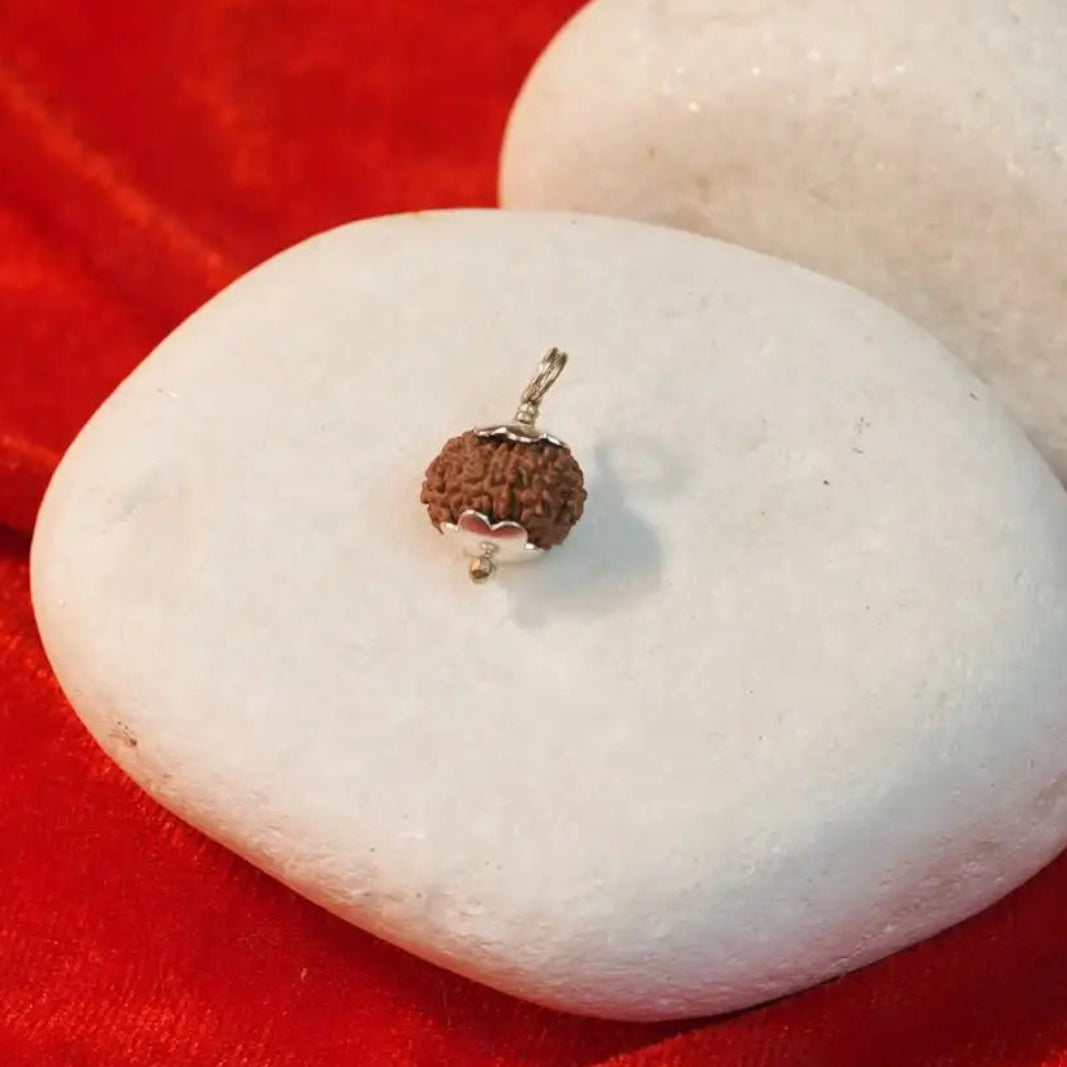 12 Mukhi Rudraksha