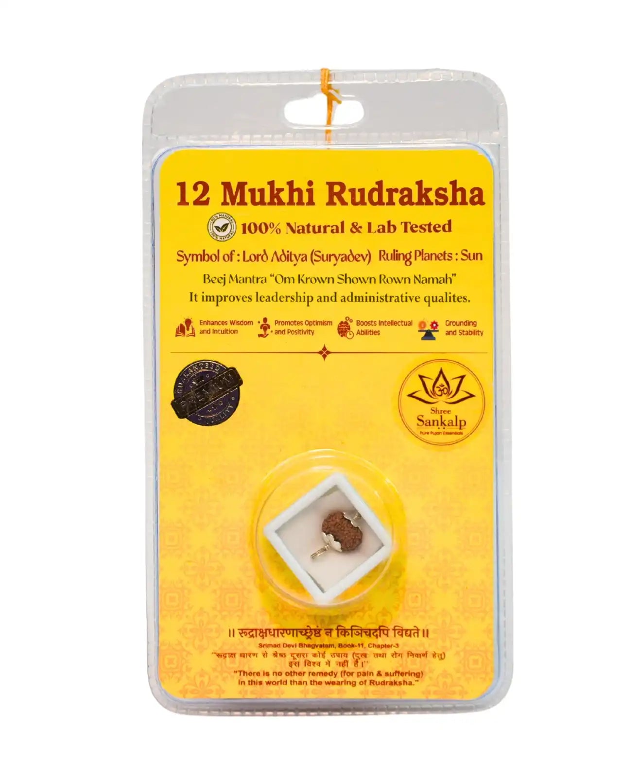12 Mukhi Rudraksha